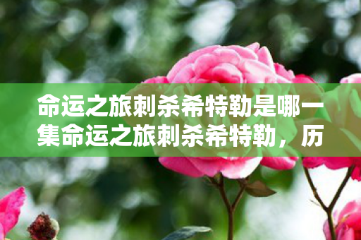 命运之旅刺杀希特勒是哪一集命运之旅刺杀希特勒图片
