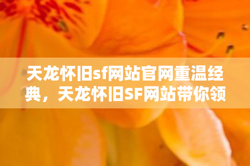 天龙怀旧SF网站带你领略武侠情怀图片