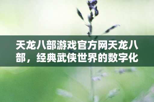 天龙八部经典武侠世界数字化再现图片