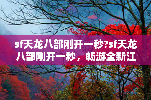 sf天龙八部刚开一秒图片