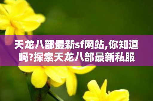 探索天龙八部最新私服网站图片