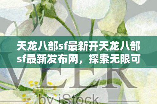 天龙八部sf最新开天龙八部sf最新发布网图片